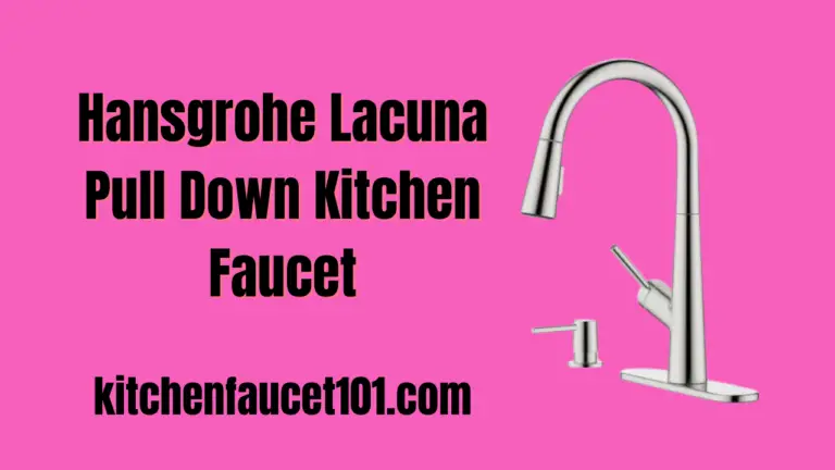 Hansgrohe Lacuna Pull Down Kitchen Faucet Review