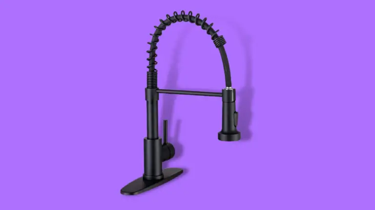 WEWE Kitchen Faucet With Pull Down Sprayer